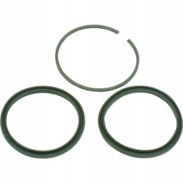 Set of rings for the k 166 actuator