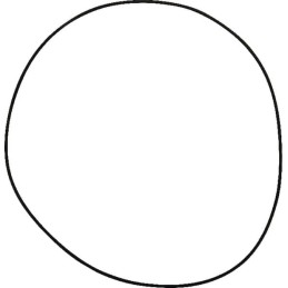 O-ring seal 001051178