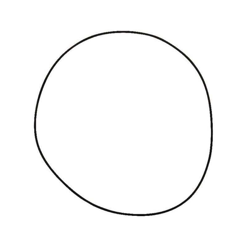 O-ring seal 001051178