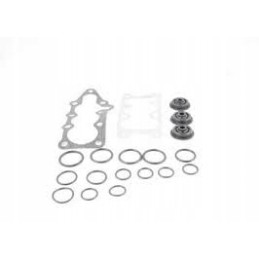 Set of r80 mtz pronar distributor seals