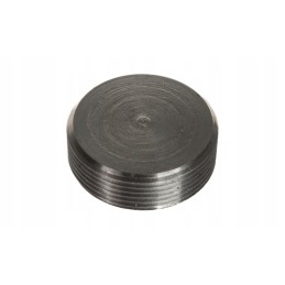 Crankshaft plug ursus c 385 80003013