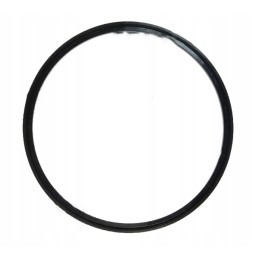PTO clutch piston seal 1870859m1 aparts