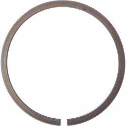 Expansion retaining ring sp80 ina fag