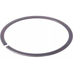 Expansion retaining ring sp80 ina fag