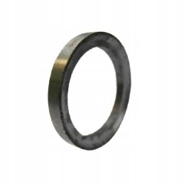 Intake valve seat q46 ursus c 360