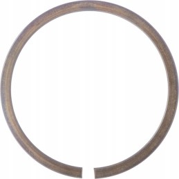 Expansion retaining ring sp72 ina fag