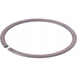 Expansion retaining ring sp72 ina fag