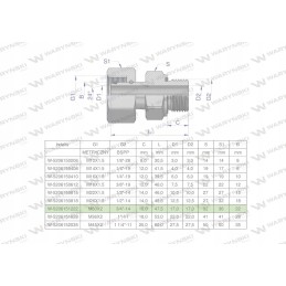 Hydraulic connection m30x2 22l 3 4 bsp