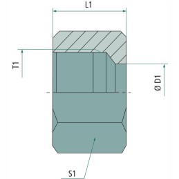Union nut uem 35 l m45x2 din 3870