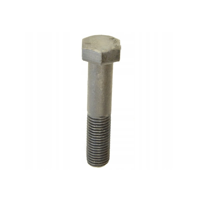 Screw m20x100 10 9 sk 54211616 domestic product