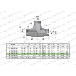 Hydraulic tee inch bbb 3 4 bsp xt