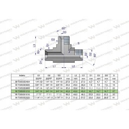 Hydraulic tee inch bbb 3 4 bsp xt
