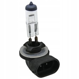 Halogen bulb granite