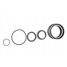 C 385 power steering cylinder seal kit