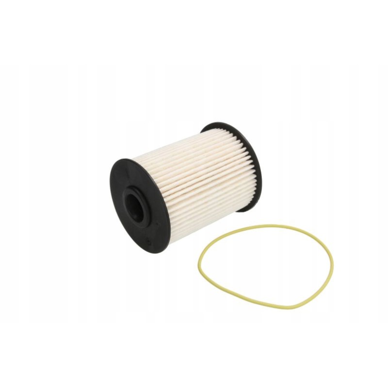 Fleetguard FS19855 fuel filter