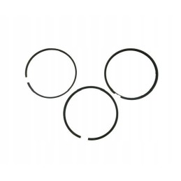 Set of engine piston rings 52110096 8900