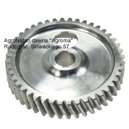 Timing gear for shaft C 360 Zetor 950424