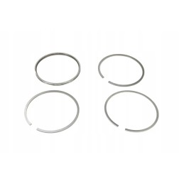 34 57 01 mf690 piston rings