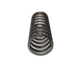 Inner head valve spring c 360 50505070