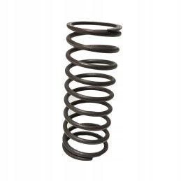 Inner head valve spring c 360 50505070