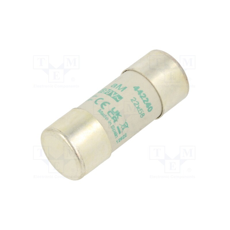 1 pcs x DF ELECTRIC - 442240 - Fuse: fuse, aM, 40A, 690VAC, ceramic,cylindrical,industrial