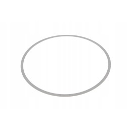 6005028844 differential gear spacer