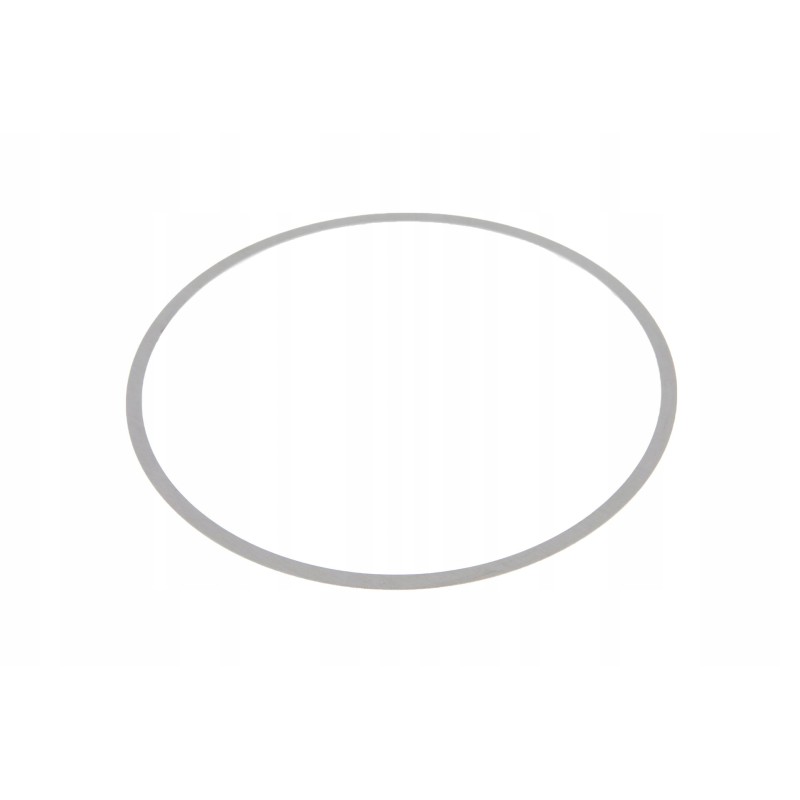 6005028844 differential gear spacer