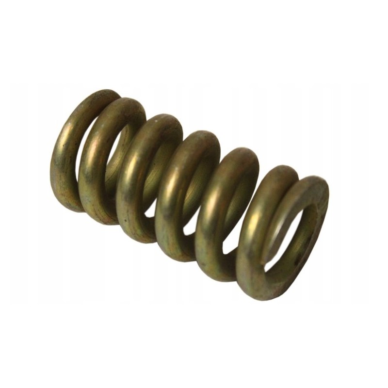 Brake valve rod spring c 385 80235011