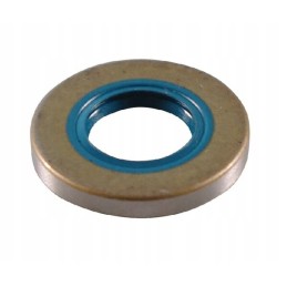 Shaft sealing ring dfs 15x29 6x4 solo