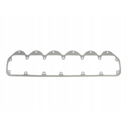 Head gasket bizon pl604964
