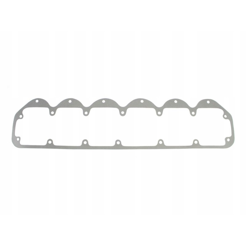 Head gasket bizon pl604964