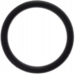 Sealing ring 25x21mm zetor 974392