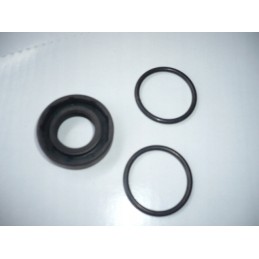 Lift pump repair kit 330