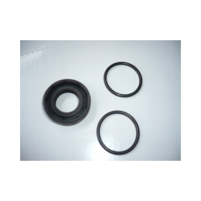 Lift pump repair kit 330