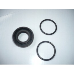 Lift pump repair kit 330