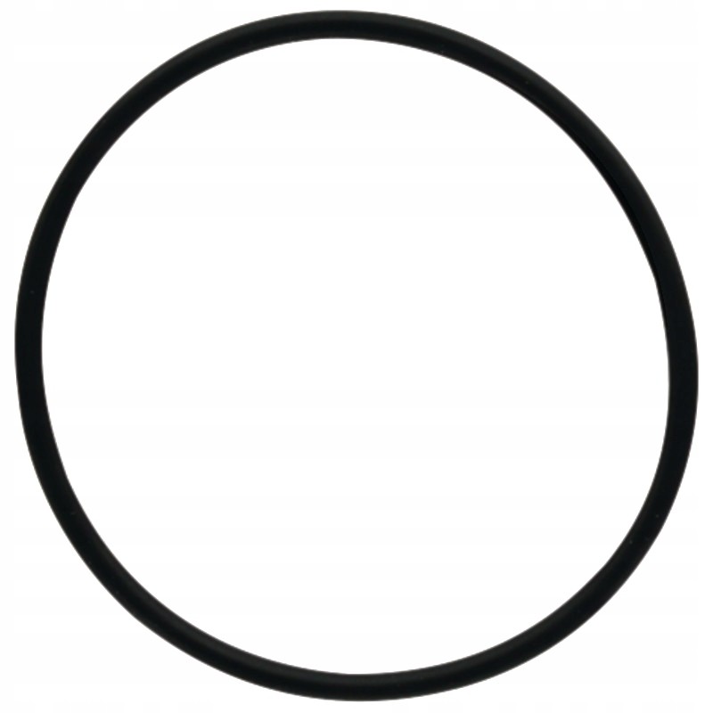 Oring 159001 05 0519 dana spicer