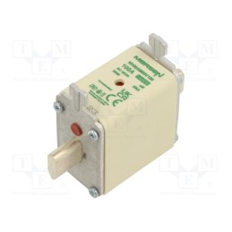1 pcs x MERSEN - NH00AM69V100 - Fuse: fuse, aM, 100A, 690VAC, ceramic,industrial, NH00