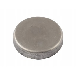 Engine block cap fi52 c 385 89002046
