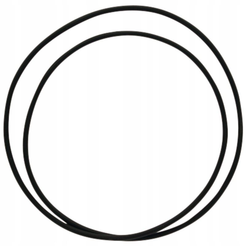 O-ring hub 159001 05 1119 dana spicer