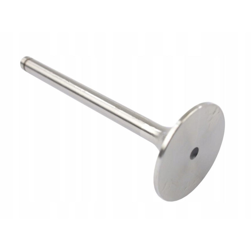 Intake valve c 385 turbo 89005915
