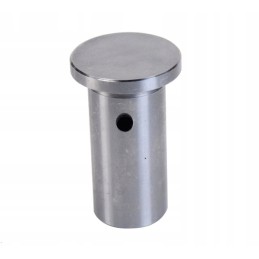 Valve tappet for c 330 50006580 aparts