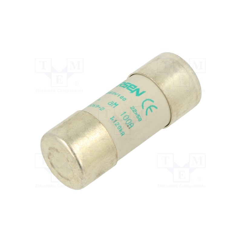 1 pcs x SCHNEIDER ELECTRIC - DF2FA100 - Fuse: fuse, aM, 100A, 500VAC, ceramic, 22x58mm