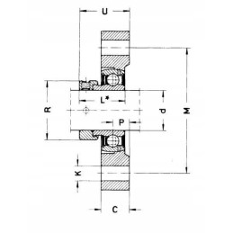 Bearing housing without insert gglcte06e ina fag