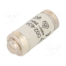 1 pcs x HAGER - LE1863 - Fuse: fuse, gG,time-lag, 63A, 400VAC, 250VDC, D02