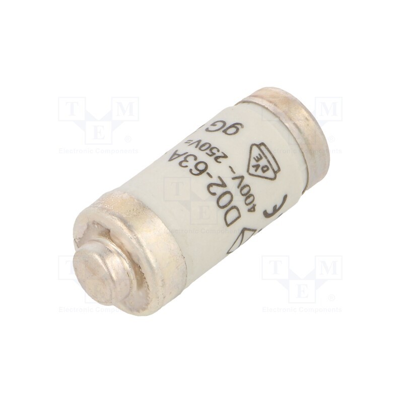 1 pcs x HAGER - LE1863 - Fuse: fuse, gG,time-lag, 63A, 400VAC, 250VDC, D02