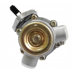 Fuel pump feeding the complete Deutz Fendt 42