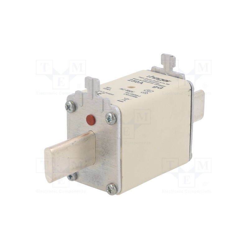 1 pcs x HAGER - LNH1250M - Fuse: fuse, gG, 250A, 500VAC, industrial, NH1
