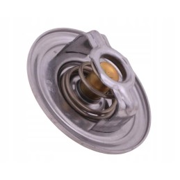 Thermostat sw400 bizon polmo