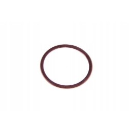 Washer for injector cap 22x26