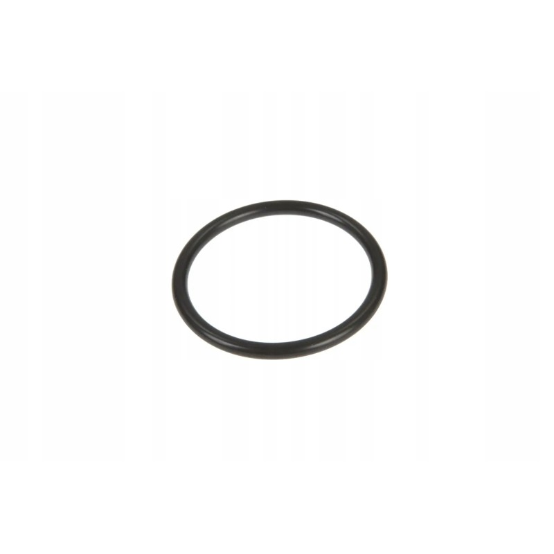 99 O-ring of the injection pump section